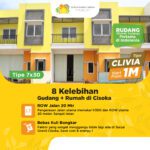 Rudang CLIVIA 7x30(1)