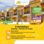 Rudang DAHLIA 9x30