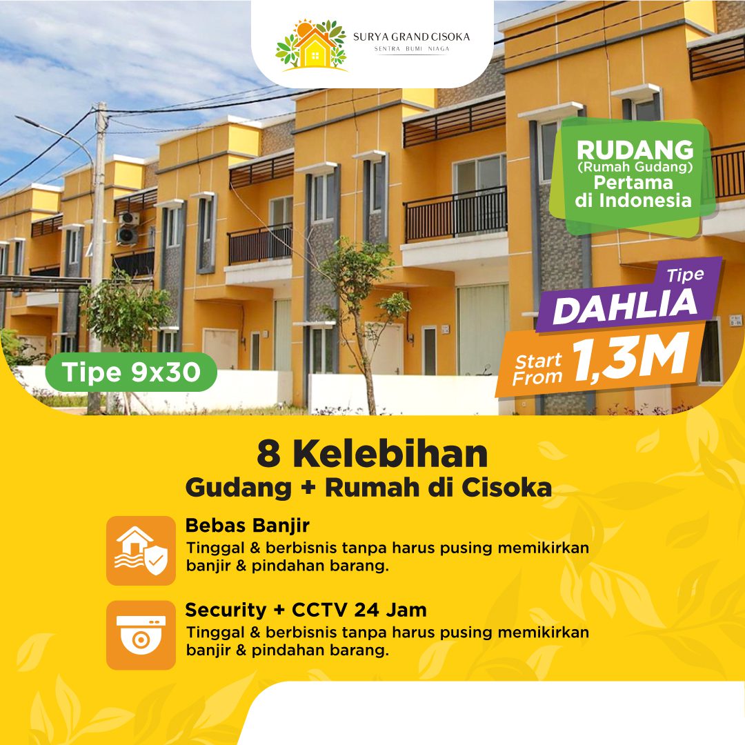 Rudang DAHLIA 9x30