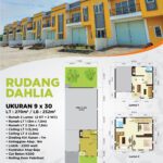 Rudang DAHLIA 9x30(4)