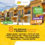 Rudang Dahlia 9x30(1)